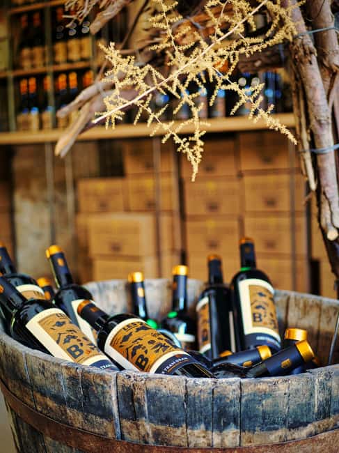 Carcassonne: Solex tour with guide and wine tasting - Learning to Ride a Solex at 21 Rue Barbès