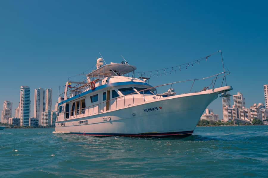 Cartagena: Cruise by the Bay with Dinner and Wine - Dinner choices and what to expect on the plate