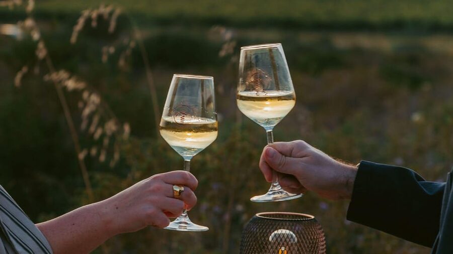 Castelsardo: visit a vineyard with wine tasting at sunset - Why this Castelsardo wine visit is worth your evening