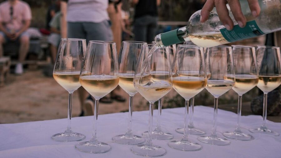 Castelsardo: visit a vineyard with wine tasting at sunset - The three-wine tasting: Vermentino and Cannonau