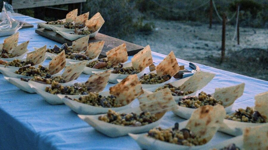Castelsardo: visit a vineyard with wine tasting at sunset - Sardinian food makes it more than a tasting
