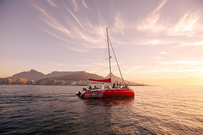 Catamaran Sunset Champagne Cruise Cape Town - Key Points to Know Before You Book