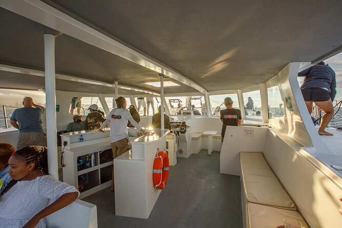 Catamaran Sunset Champagne Cruise Cape Town - Watching for Whales, Penguins, and Dolphins