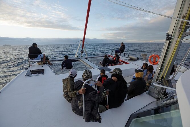 Catamaran Sunset Champagne Cruise Cape Town - What the Boat Ride Feels Like