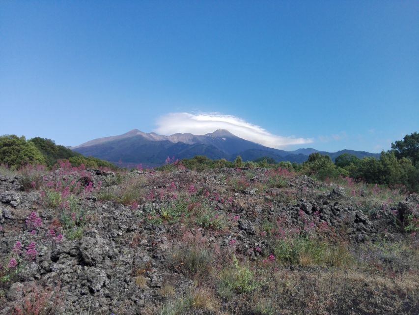 Catania: Mount Etna Sunset Tour and Etna Doc Wine - What the small group and guide add