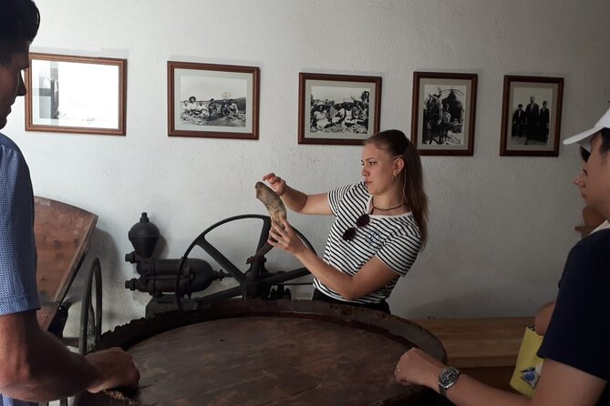 Cava tour to 3 family wineries with hotel pick-up - Pickup from Barcelona and the one-hour ride