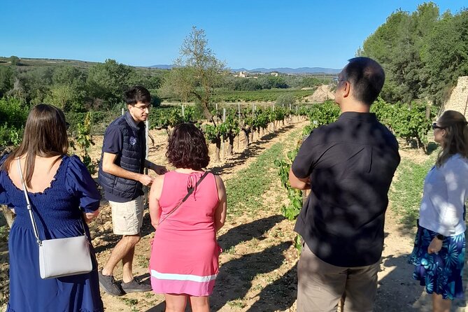 Cava tour to 3 family wineries with hotel pick-up - Guides who make the difference