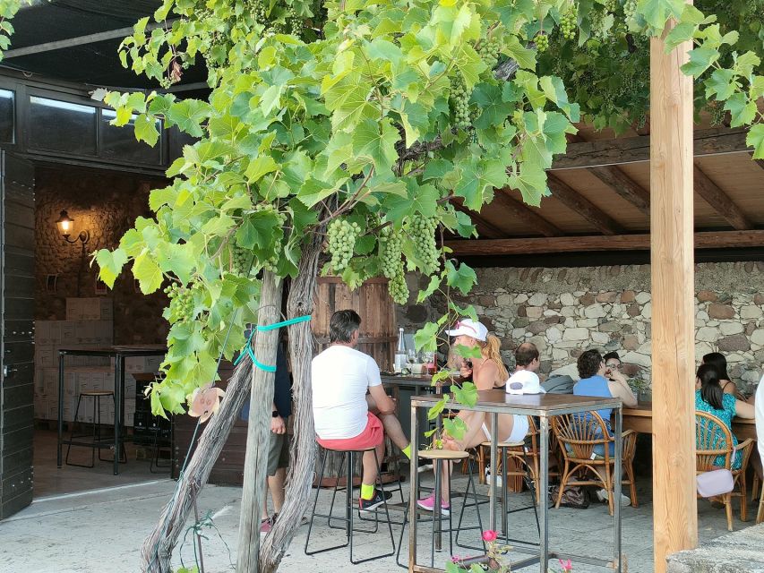 Cavaion: Lake Garda Wine & Food Tasting with Vineyard Tour - Key points to know before you book