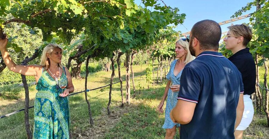 Cavaion: Lake Garda Wine & Food Tasting with Vineyard Tour - Why this small winery suits Lake Garda