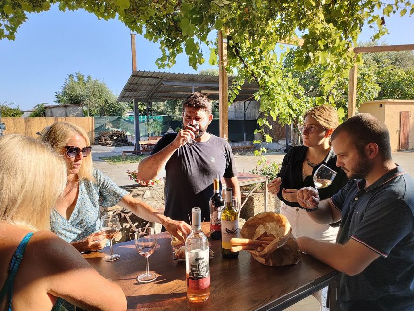 Cavaion: Lake Garda Wine & Food Tasting with Vineyard Tour - Guides, language, and the personal touch