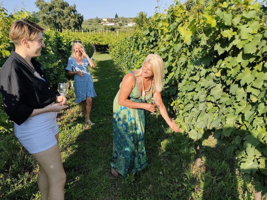 Cavaion: Lake Garda Wine & Food Tasting with Vineyard Tour - Walking the vineyard before the tasting
