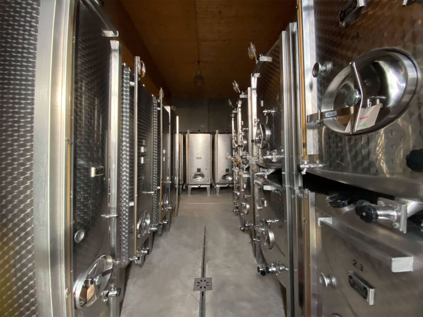 Cellar visit and Alsace wine tasting with a feminine touch - Entering the cellar and seeing the winery at work