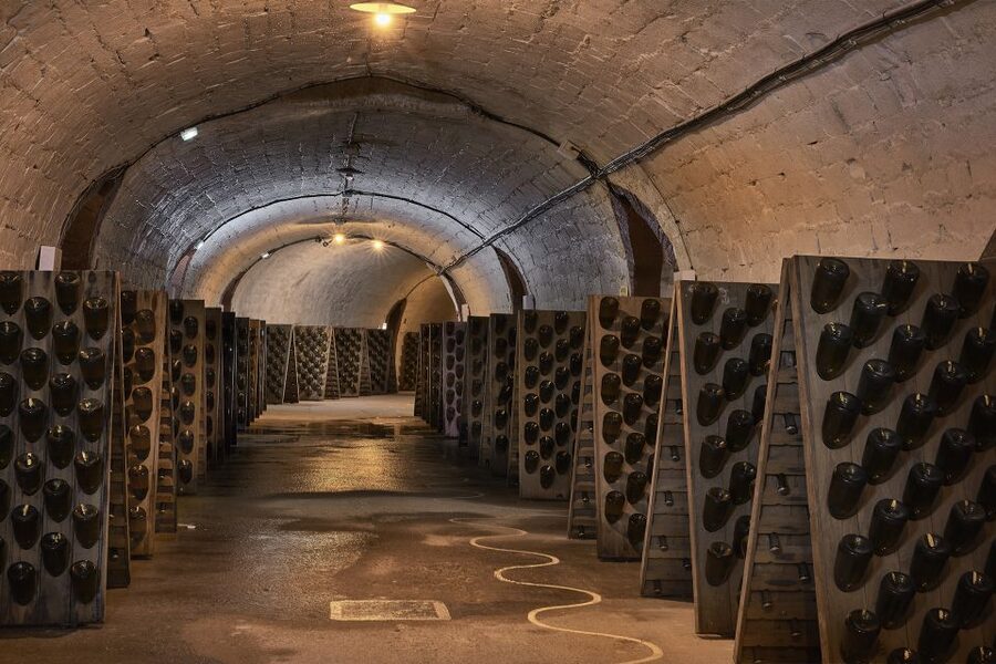 Champagne: Canard-Duchêne Champagne House Tour - Who will enjoy this Champagne visit?