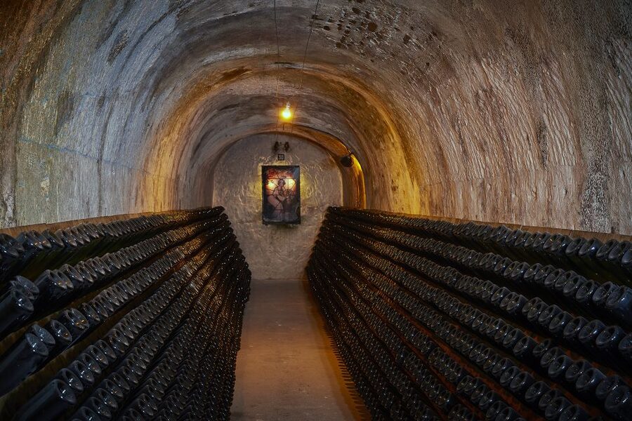 Champagne: Canard-Duchêne Champagne House Tour - Walking through the vineyards