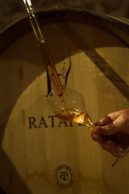 Champagne Cellar Experience: Explore our historic cellars - Starting in the courtyard at 8 Rue de la Fontaine
