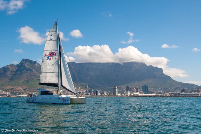 Champagne Cruise (Pre-Sunset) from Cape Town - What the one-hour route feels like