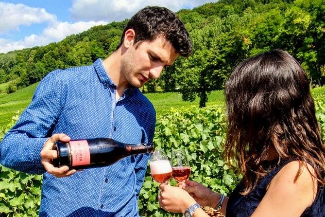 Champagne Day Trip from Paris with 8 Tastings & Lunch - The small producer and the final tasting