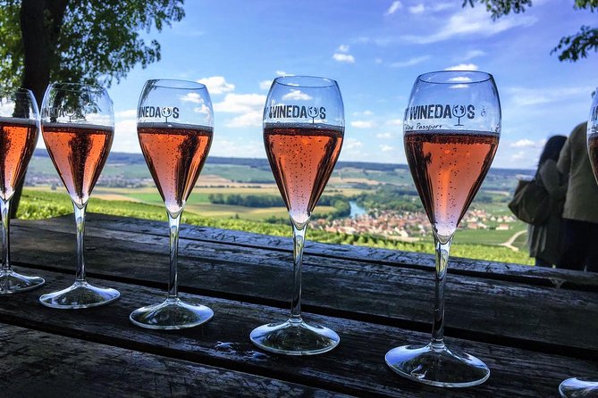 Champagne Day Trip from Paris with 8 Tastings & Lunch - Learning the Champagne vocabulary without the lecture hall