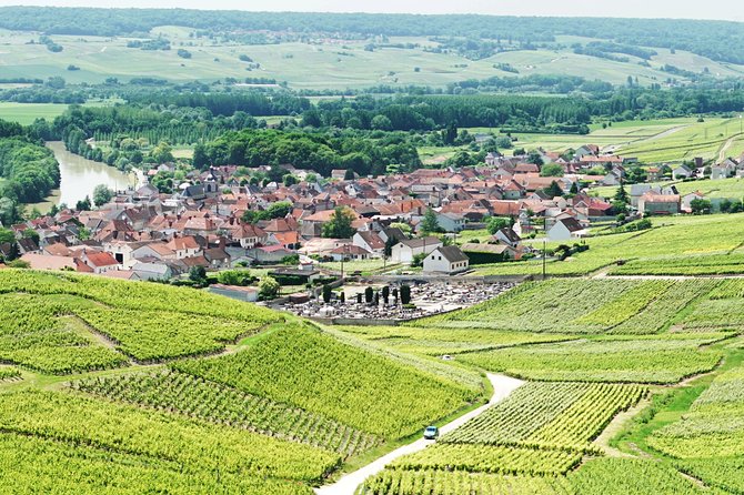 Champagne Day Trip with 6 Tastings, Reims and Winery from Paris - Rolling vineyards and the first look at Champagne country