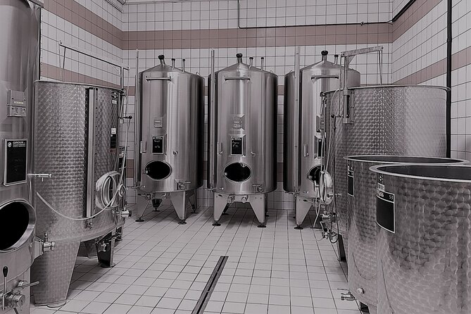 Champagne Munoz Bruneau : Half Day Visit and Tasting - Starting in Épernay with a small group