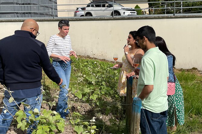 Champagne Munoz Bruneau : Half Day Visit and Tasting - Three champagnes and a relaxed tasting