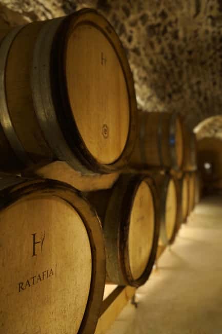Champagne Vineyard Experience: Delve into the terroir - Key points at a glance