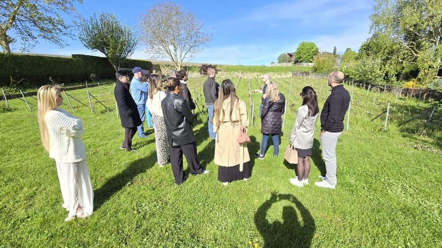 Champagne Vineyard Experience: Delve into the terroir - Tasting Champagne and ratafia champenois