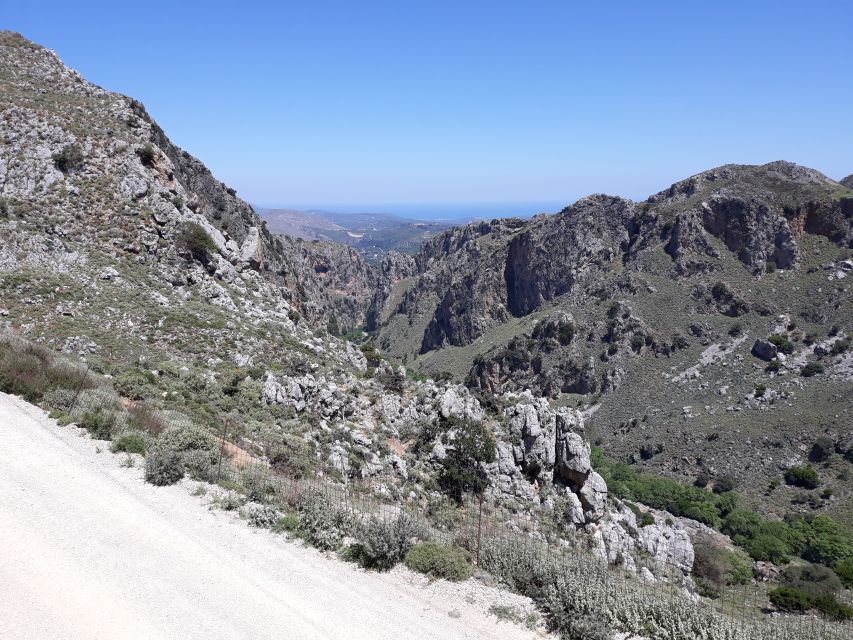 Chania: Milia Mountain Tour w/Lunch Olive Oil/Wine Tastings - Who should book this experience?