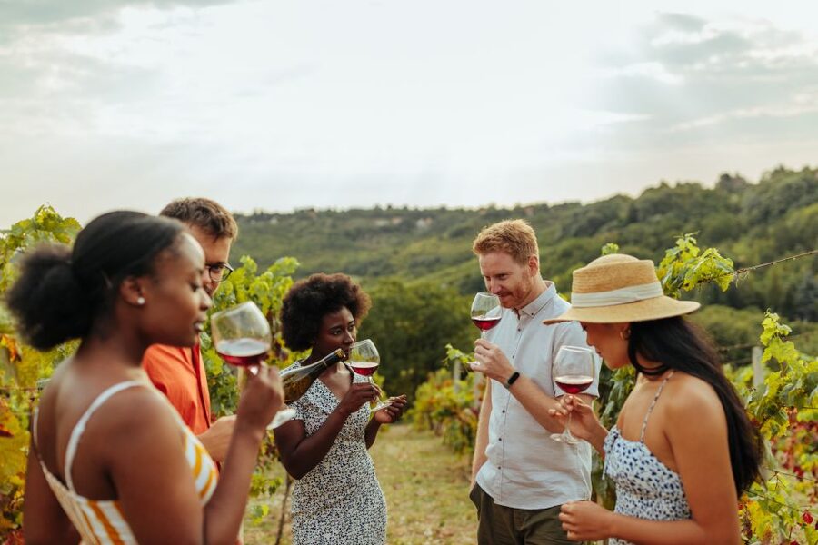 Charleston: Wadmalaw Island Wine Tasting and Tea Garden Trip - Why this Wadmalaw Island day trip works
