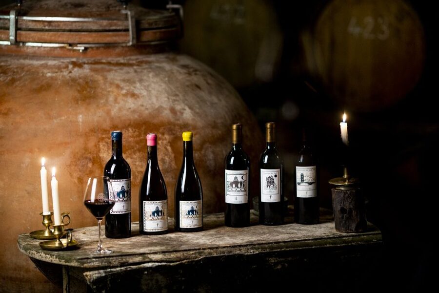 Château de Luc: Unique visit and wine tasting - Key points to know before booking