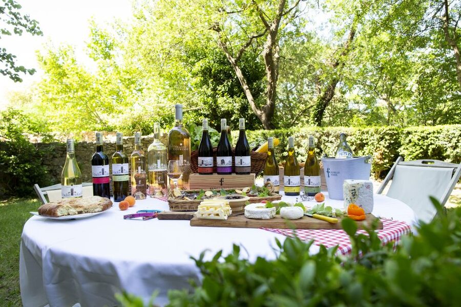 Château de Luc: Unique visit and wine tasting - Why Château de Luc feels different from a standard tasting