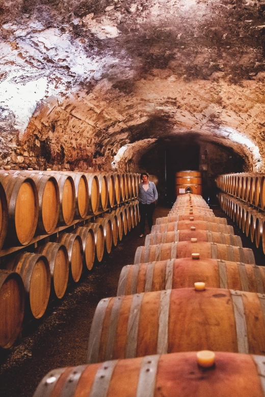 Château de Luc: Unique visit and wine tasting - How much value do you get for $15?