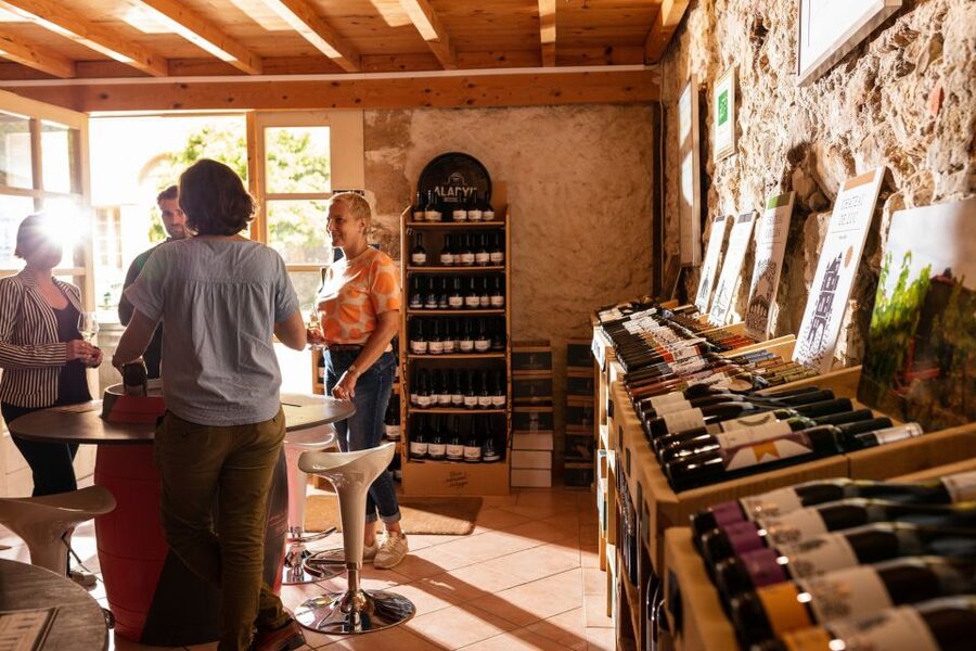 Château de Luc: Unique visit and wine tasting - The people make the visit work