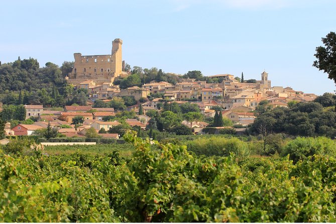 Châteauneuf du Pape Wine Day Tasting Tour including Lunch from Avignon - Séguret, Gigondas, and Vacqueyras add useful contrast