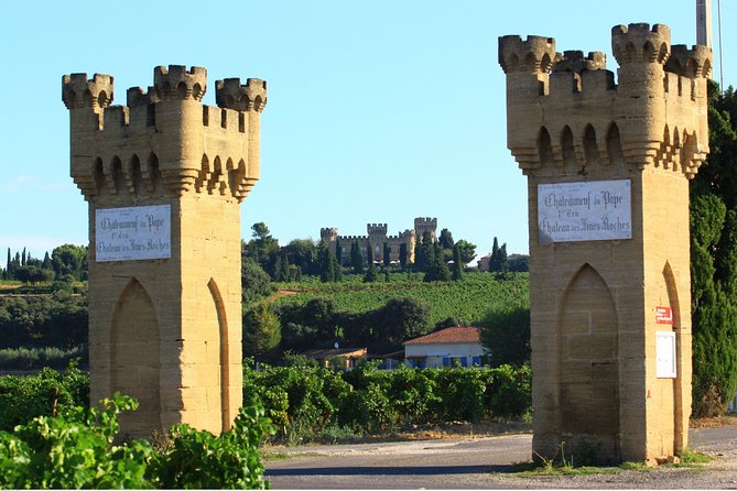 Châteauneuf du Pape Wine Day Tasting Tour including Lunch from Avignon - Practical points before you book