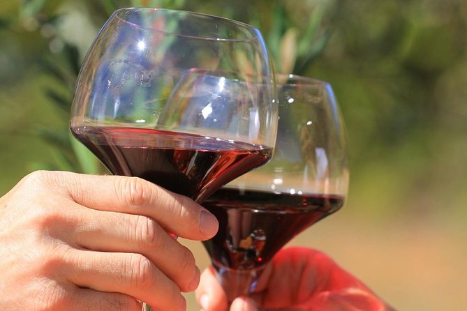 Châteauneuf du Pape Wine Day Tasting Tour including Lunch from Avignon - Three tastings with three different personalities