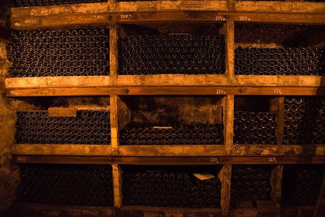 Chateauneuf du Pape wine tour - The First Vineyard Stop Explains the Basics