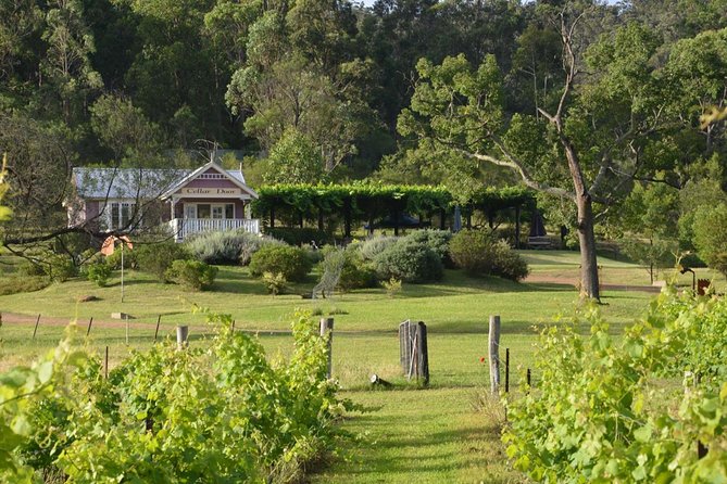 Chef-Led Hunter Valley Gourmet Food and Wine Day Tour from Sydney - A 5 a.m. style start for a full Hunter Valley day