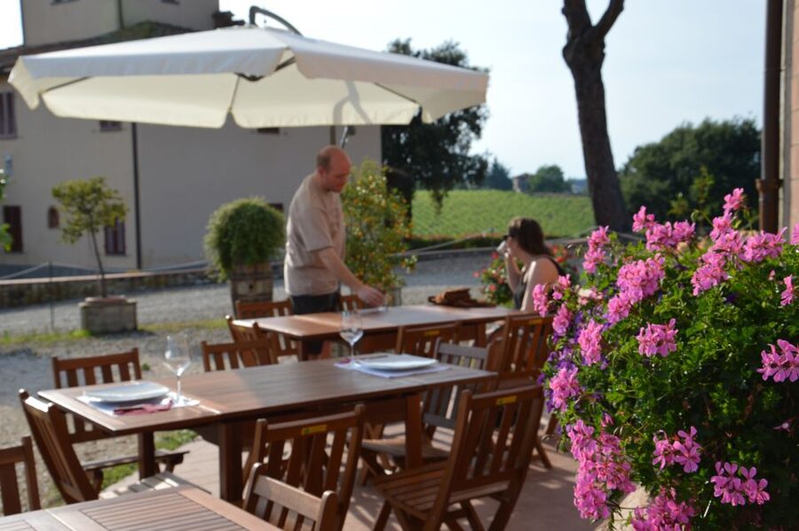Chianti: 4 Wines +1 Oil Guided Tasting & Tour - Why the tasting room matters