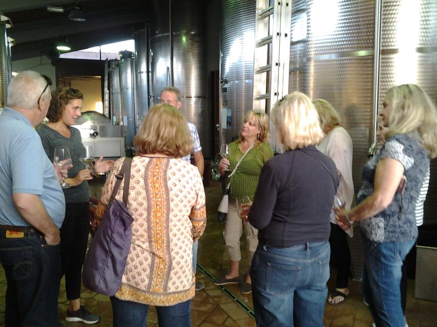 Chianti: 4 Wines +1 Oil Guided Tasting & Tour - The value of $41 per person