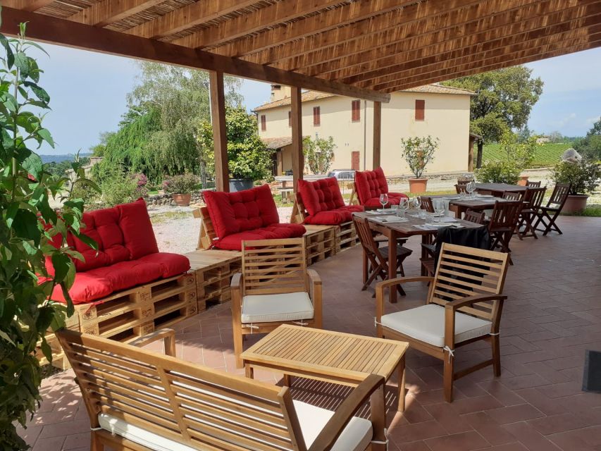 Chianti: 4 Wines +1 Oil Guided Tasting & Tour - Who will enjoy this Chianti visit most