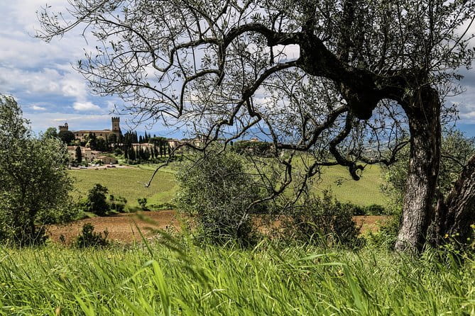Chianti Delights: A Tale Of Two Wineries With A Vineyard Dinner - Group size, guides, and the ride back