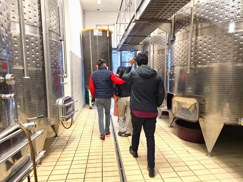 Chianti: Vineyard to Bottle Winery Visit with Tastings - Is $37 a fair price?