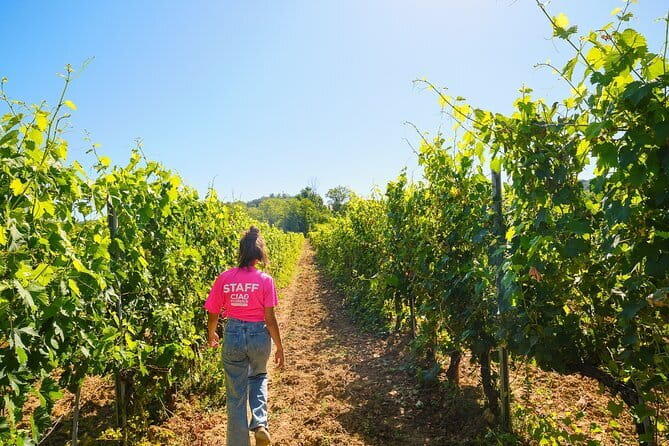 Chianti Vineyards Escape from Florence with Two Wine Tastings - What fills your tasting glass