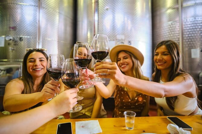 Chianti Vineyards Escape from Florence with Two Wine Tastings - Cellars, vineyards, and the Tuscan setting