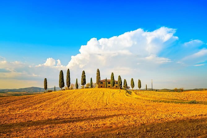 Chianti Vineyards Escape from Florence with Two Wine Tastings - The sunset return to Florence