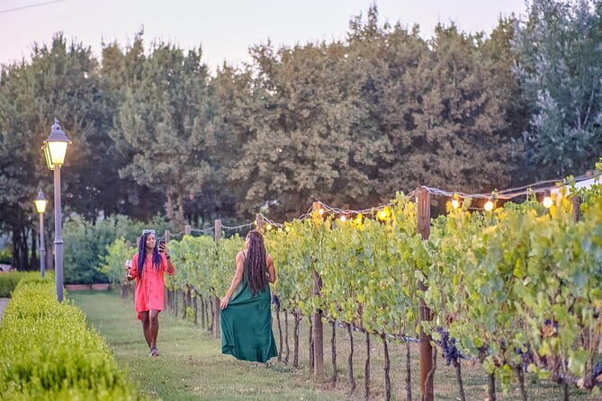 Chianti Vineyards Escape from Florence with Two Wine Tastings - Is $53.10 good value?