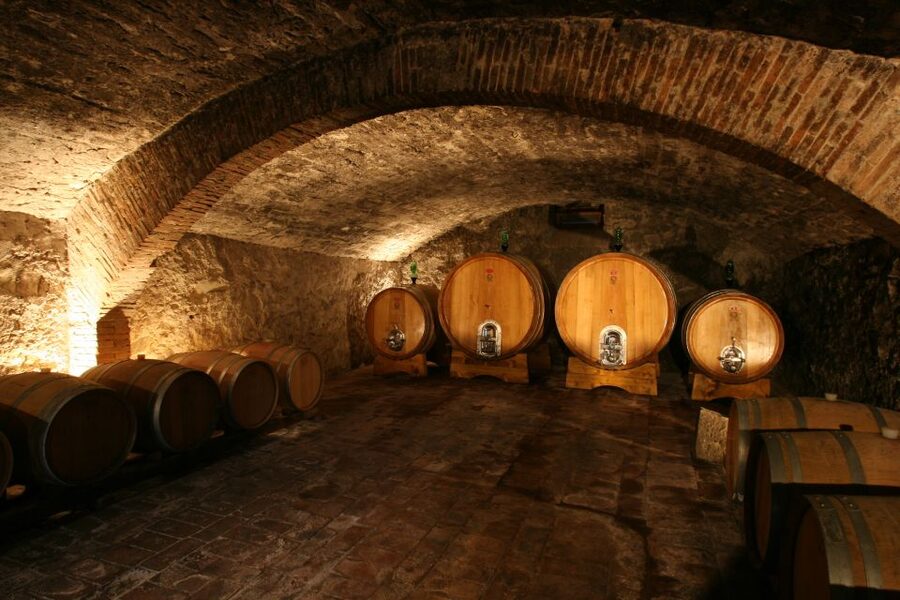 Chianti: Wine and Olive Oil Tasting with Cellar Tour - Arriving at Fattoria Santo Stefano near Greve