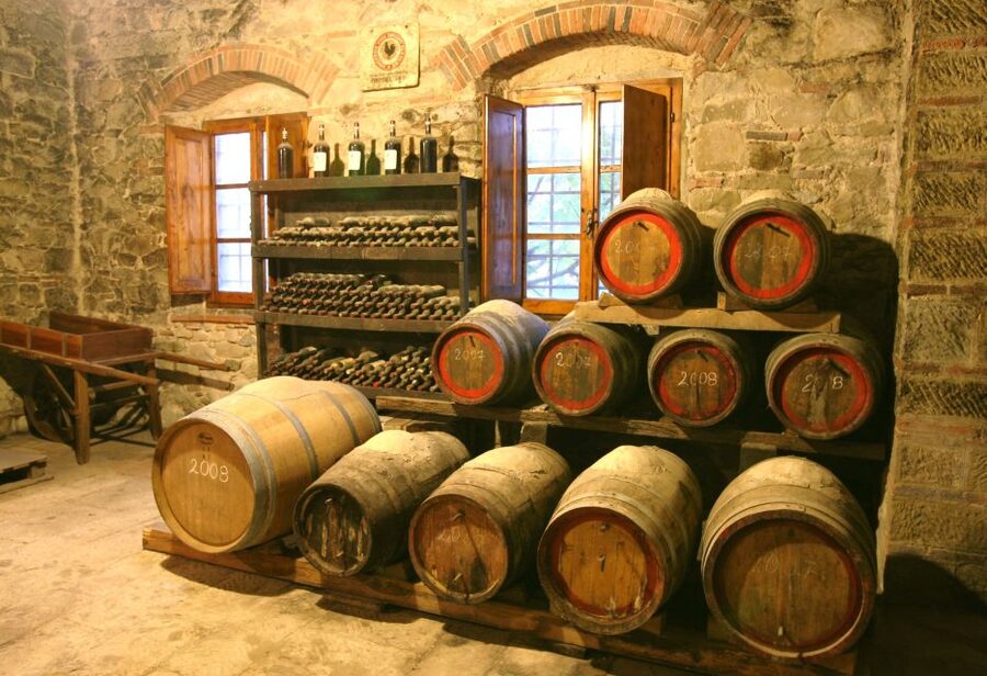 Chianti: Wine and Olive Oil Tasting with Cellar Tour - The tasting: wine, oil, and generous local food