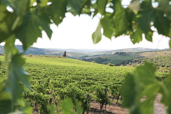 Chianti Wine Tour from Florence - Timing, Pace, and Group Style